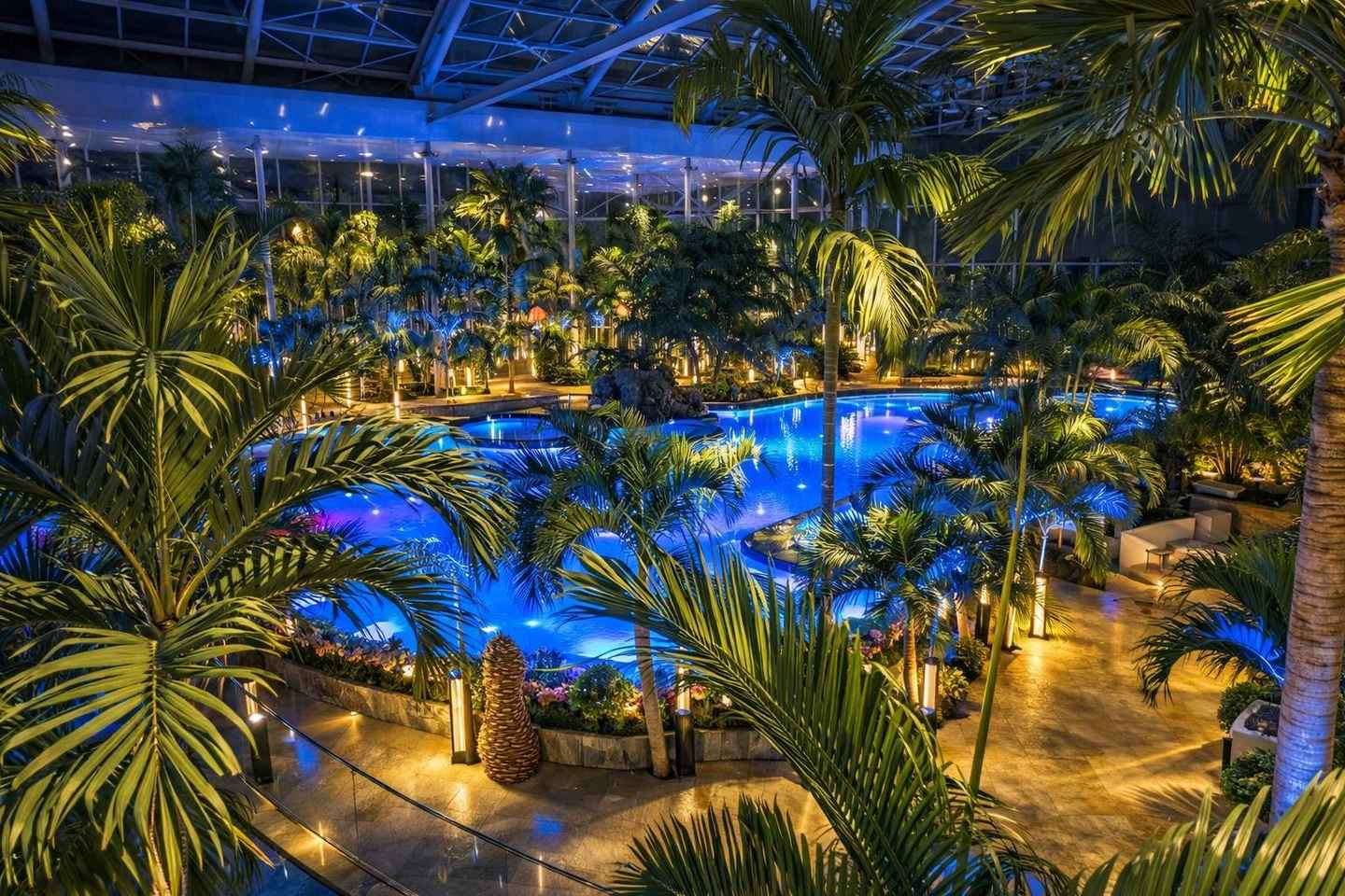 Bucharest: Therme Spa Aðgangur með FLUTNINGI innifalinn!