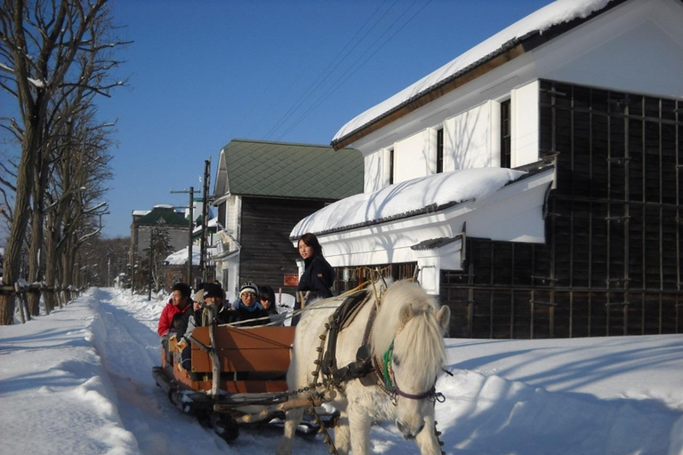 Sapporo : billet d'entrée au village historique de Hokkaido