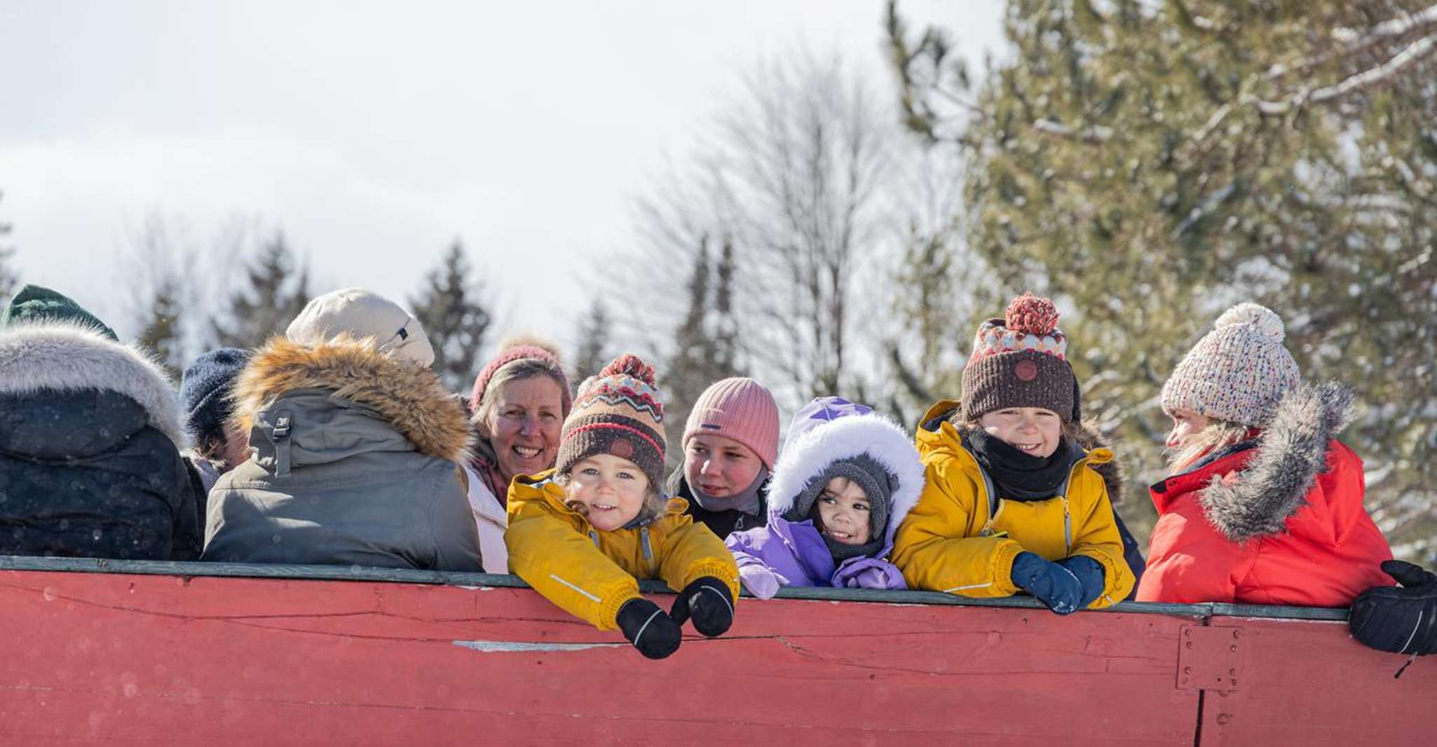 Mont-Tremblant, Sleigh Ride w/ Storytelling & Hot Chocolate, Mont ...