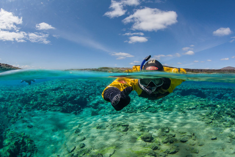 Círculo Dorado y snorkel en Silfra: tour en grupos pequeños