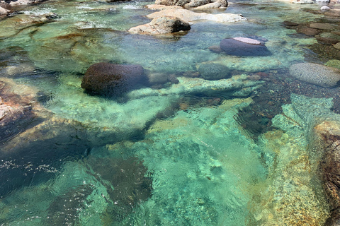 Moitié Terre, Moitié MerCompleet Corsica