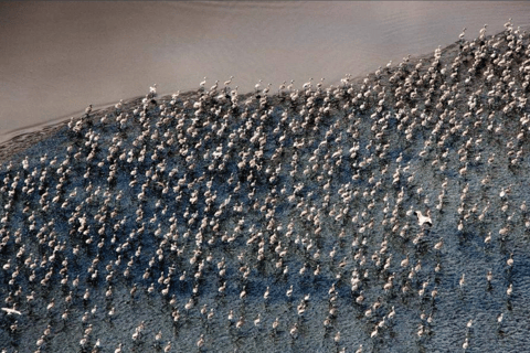 Arusha: Lake Natron 3-Day Tour with Maasai Village Visit