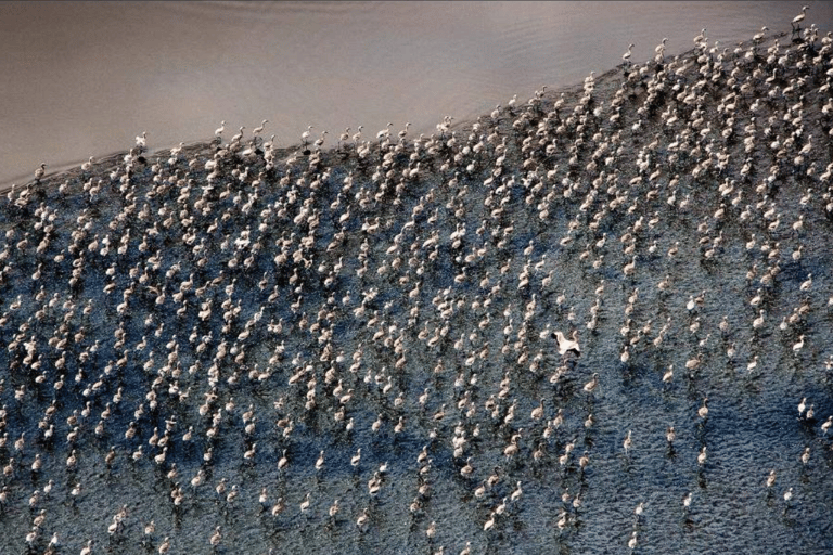 Arusha: Lake Natron 3-Day Tour with Maasai Village Visit