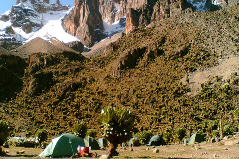 4 Días Ruta del Monte Kenia Naro Moru