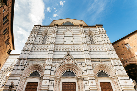 Firenze: Tour per piccoli gruppi di Siena, San Gimignano e ChiantiTour di un giorno della campagna con pranzo