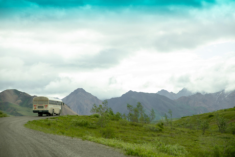 Denali in a Day – Full-Day Sightseeing Package
