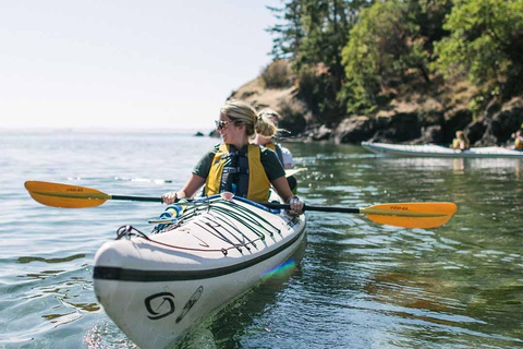 San Juan Island: West Side Half Day Kayak Tour Half Day