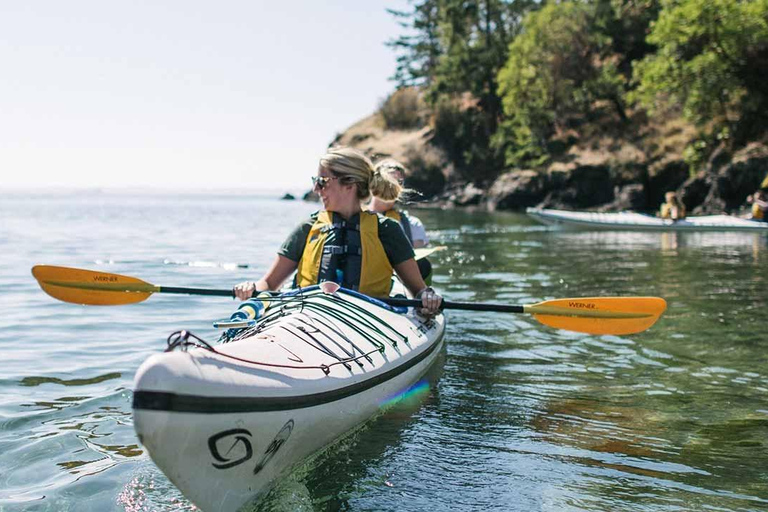 San Juan Island: West Side Half Day Kayak Tour Half Day