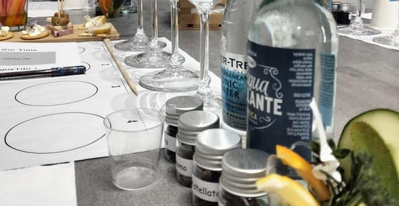 Peschiera del Garda:Gin tasting