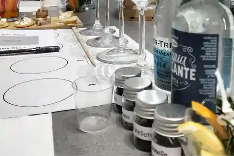Dégustation de gin italien