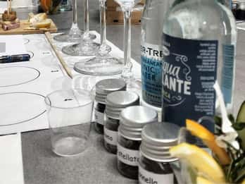 Peschiera del Garda : dégustation de gin italien