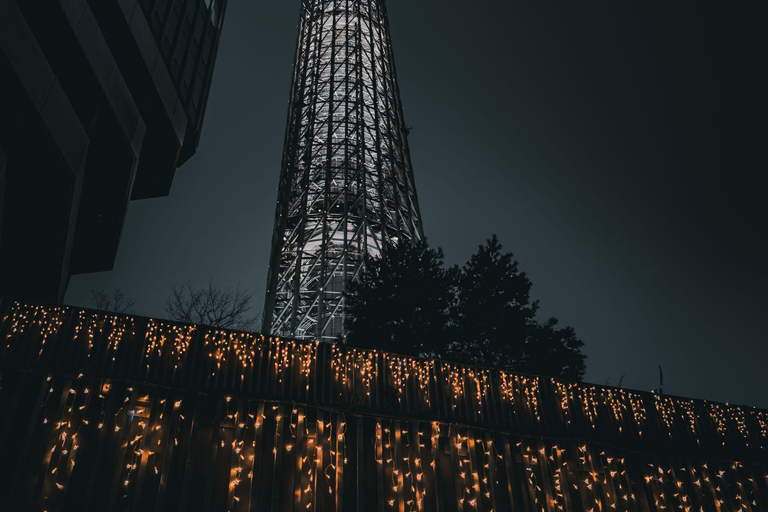 Tokyo: Luxury Private Full-Day City Tour by Alphard Luxury Alphard