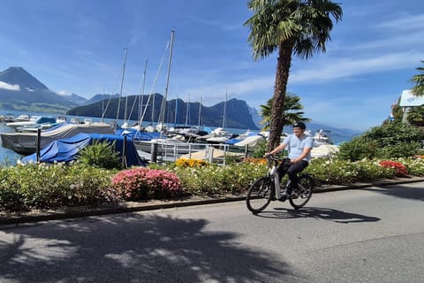 Luzern: Private Radtour am Vierwaldstätter See mit Bootsfahrt