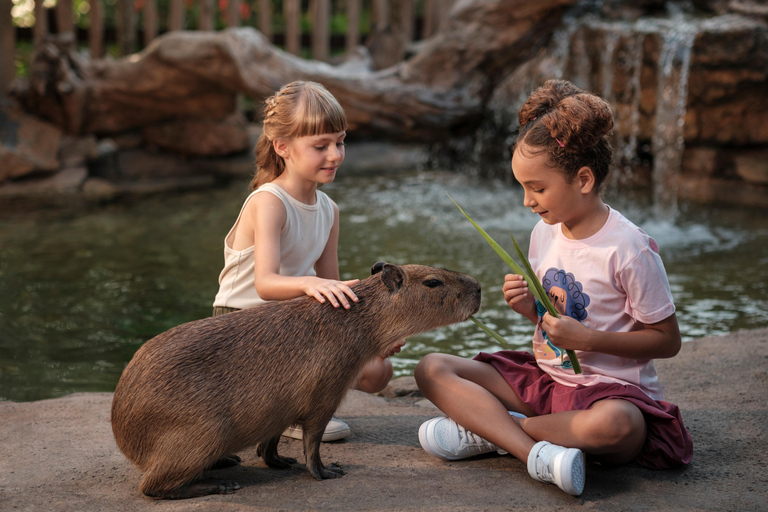 Bali Zoo: Capybara Brunch & Observation Experience Capybara Brunch Experience with Transfer