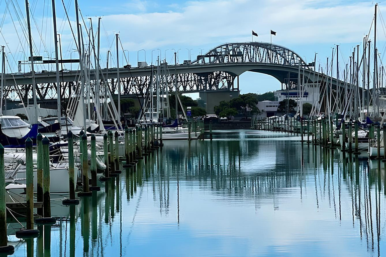 Tour privado de medio día por los 5 mejores lugares de Auckland