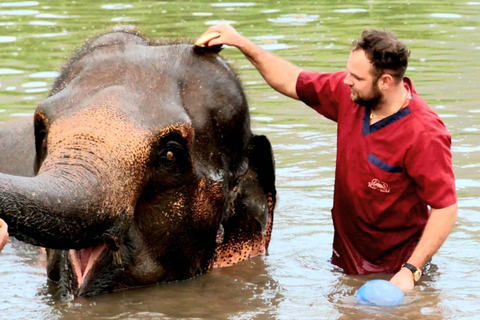 Rantong elephant sanctuary Chiangmai