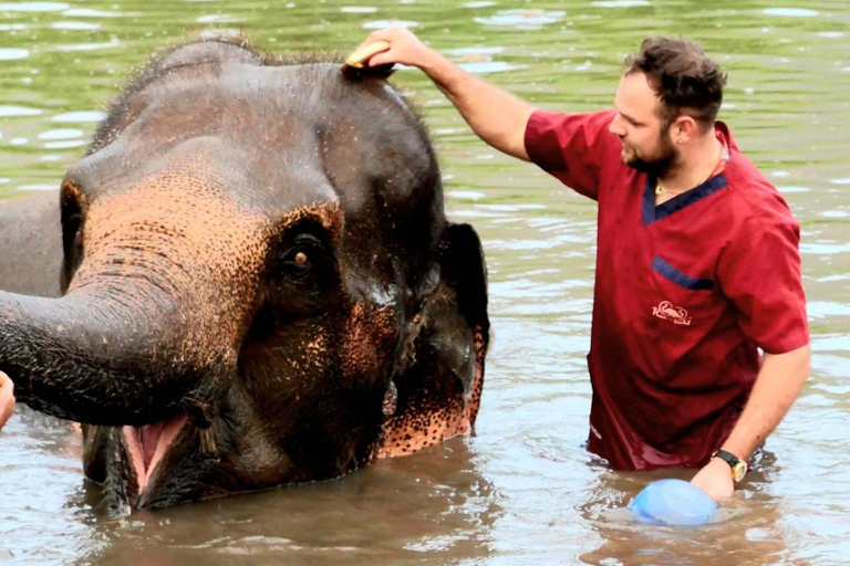 Rantong elephant sanctuary Chiangmai