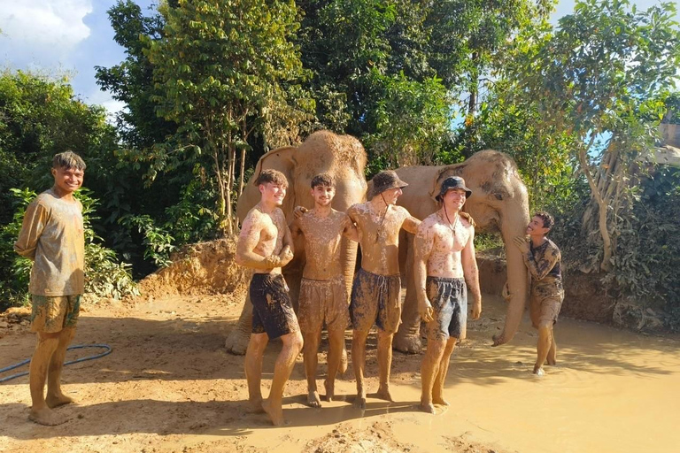 Cambodia Elephant Sanctuary, Pickup and drop off included