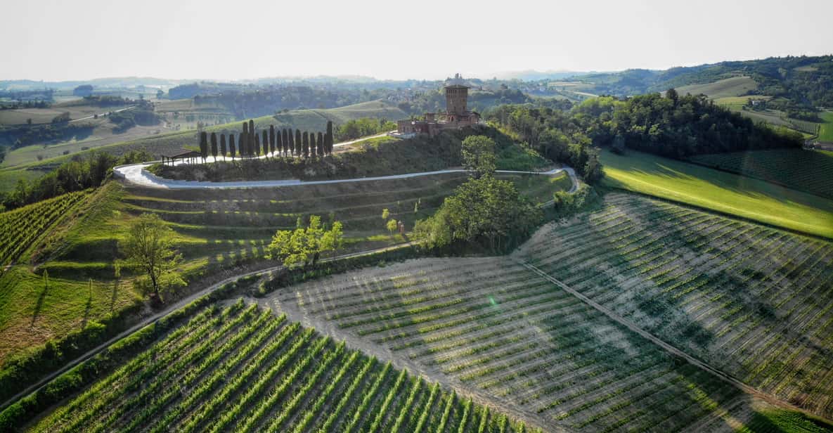Afbeelding 2 van Monferrato: begeleide tour met MTB E-Bike om de wijngaarden te ontdekken