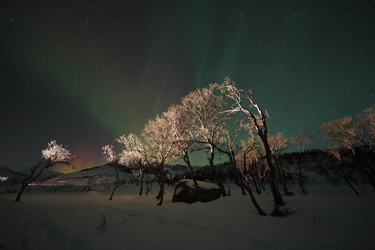 Tromsø: Northern Lights Tour – Unlimited Chase & Free Photos 6-8 Hours, Aurora chase, Comfortable bus, Photos included