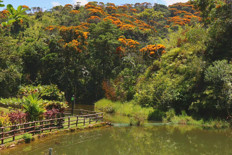 MEDELLÍN : JOUR DE SOLEIL LE CHARME DE COCORNÁ
