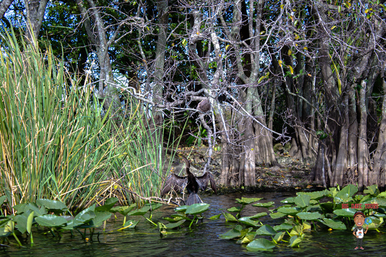 3-Day Florida Getaway: Miami, Everglades &amp; Key West Snorkel