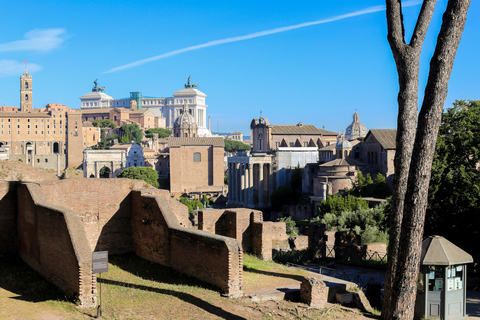 Rome: Colosseum Small-Group Guided Tour