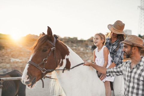 Soma Bay: Reittour mit HoteltransferSoma Bay: Reittour ohne Hoteltransfer