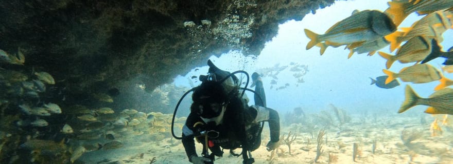 Puerto Morelos : Deux plongées sur récifs pour les plongeurs certifiés