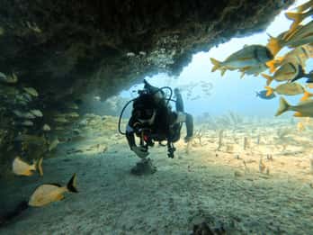 Puerto Morelos: Two Reef Dives for Certified Divers