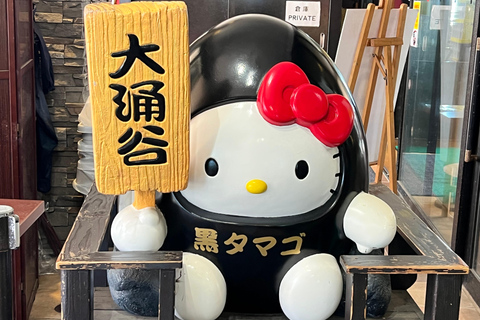 Från Tokyo: Fuji-berget eller Hakone Sightseeing Privat dagstur