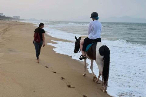 岘港：自然与骑马体验之旅岘港：自然与骑马体验