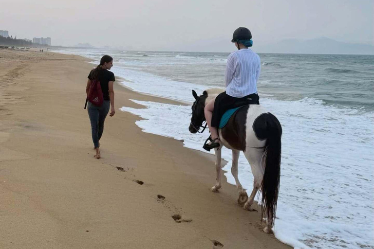 岘港：自然与骑马体验之旅岘港：自然与骑马体验