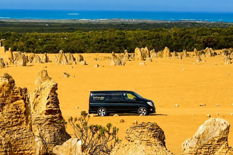 Perth to the Pinnacles with 4WD desert drive & sandboarding