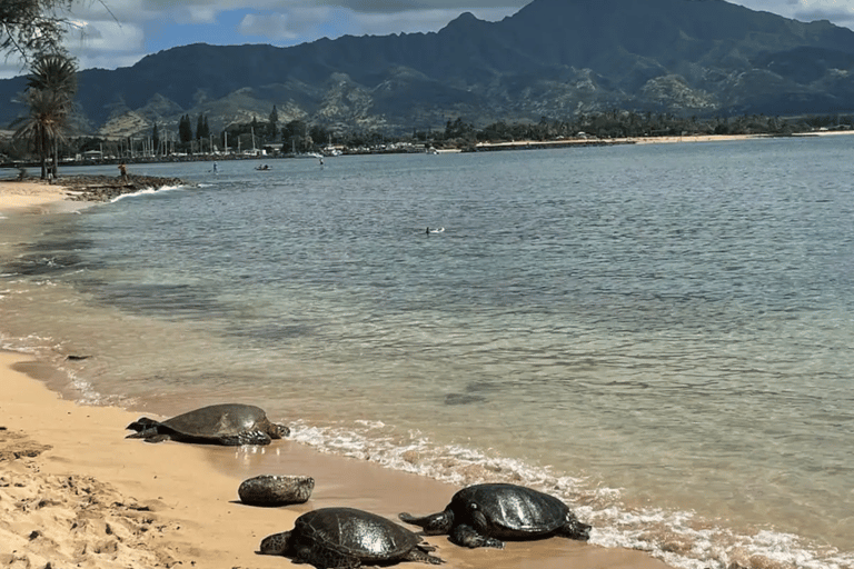 Z Waikiki: Oahu Circle Island Tour z nurkowaniem z rurkąHawaii Circle Island Tour 105 USD