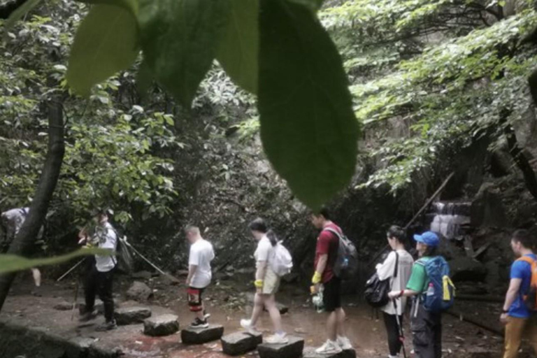 Shanghai: Moganshan Bamboo Hike with 1920s Villas private tour option