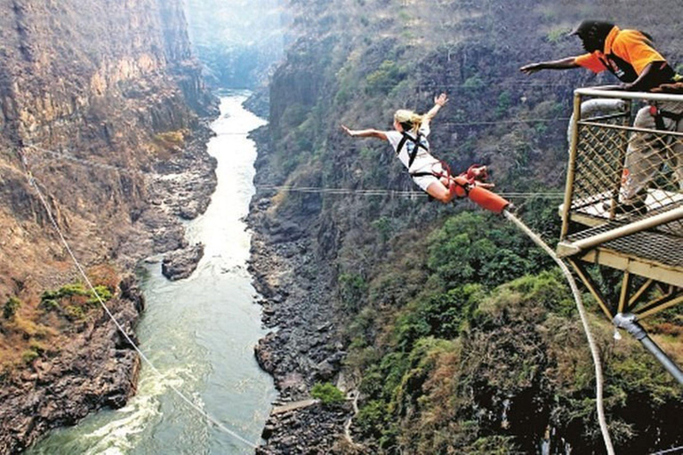 Livingstone: Victoria Falls Bungee Jump & Game Drive