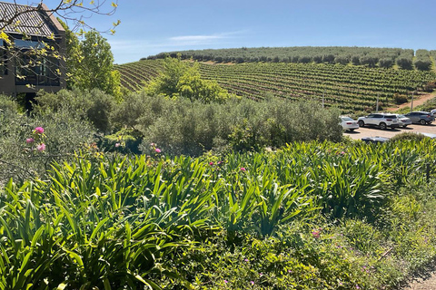 Tour particular com degustação de vinhos em Stellenbosch, Franschhoek e Paarl