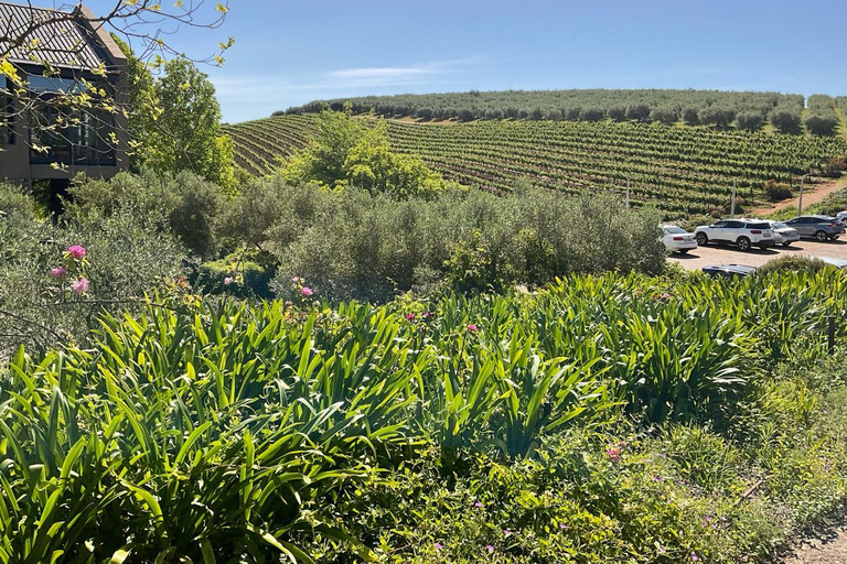 Tour particular com degustação de vinhos em Stellenbosch, Franschhoek e Paarl