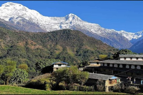 Mohare Danda Trek | 10 Days Trek | Nepal