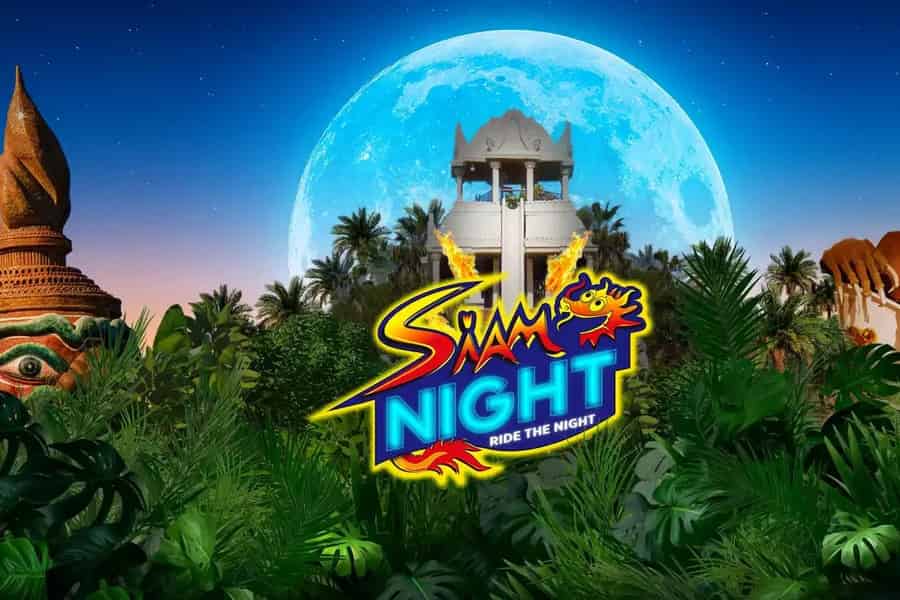 Eintrittskarte für die Siam Night. Foto: GetYourGuide