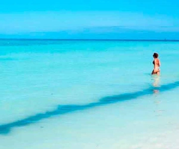 Cancún - Daytrip at Contoy Island
