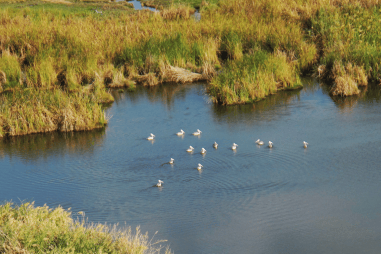 Addis Ababa: 3 Days Awash National park Safari Tour