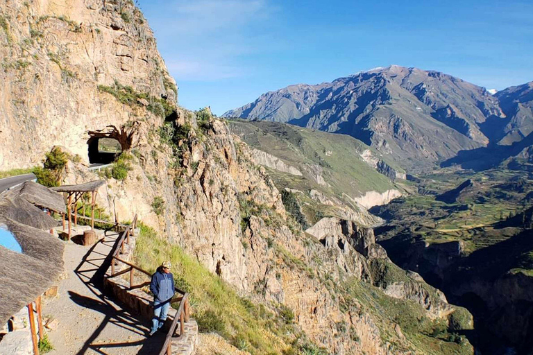 From Arequipa: Colca Canyon Day Trip with Condor Viewing Drop-off in Puno