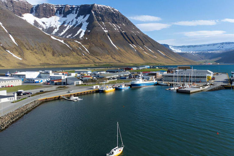From Isafjordur: Private Dynjandi Waterfall & Farm Tour