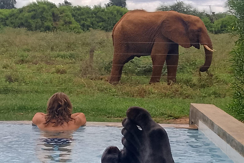 Tsavo East 2-Day Safari with Night Game Drive