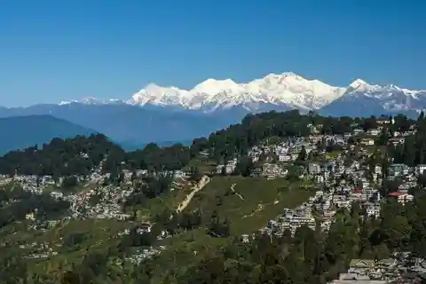From Bagdogra: Himalayan Tea Tour