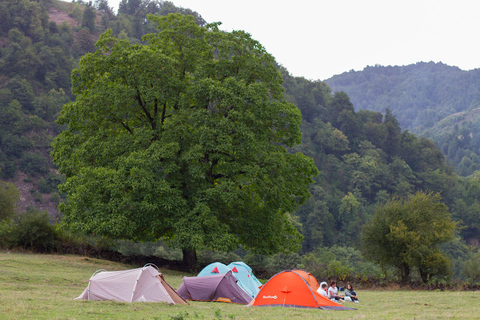 Baku: Southern Azerbaijan Hot Springs and Nature Tour 1-Day Lankaran Hot Springs Tour – Standard (No Meals)