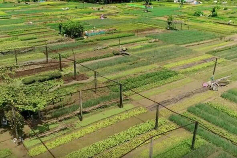 Hoi An : Cours de cuisine au village d&#039;herbes de Tra Que