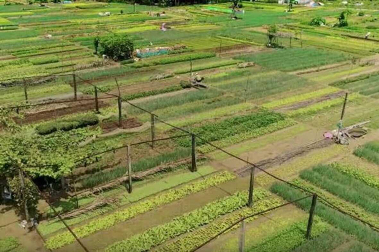 Hoi An: Tra Que Herb Village Cooking Class